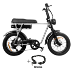 EB2 Fatbike Zilver