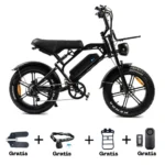 V20-Elektrische-Fatbike-Zwart-250w