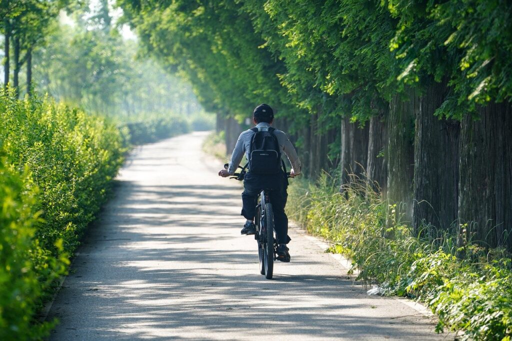 Fatbike nederland